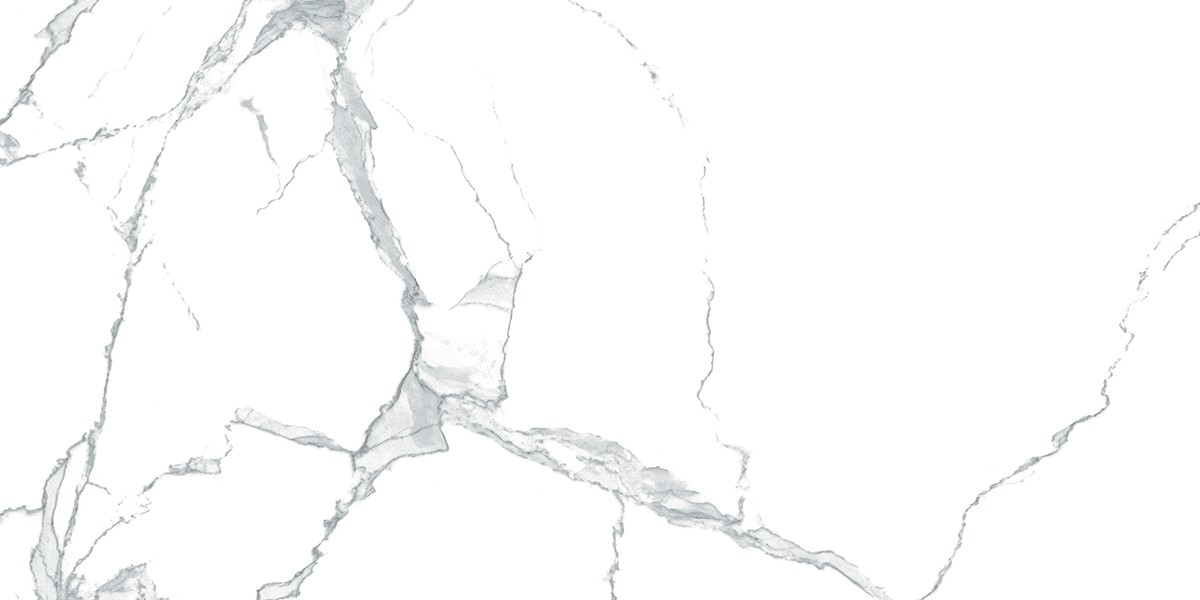 CYBELE 60X120 CLASS STATURIO FULL LAPPATO END.