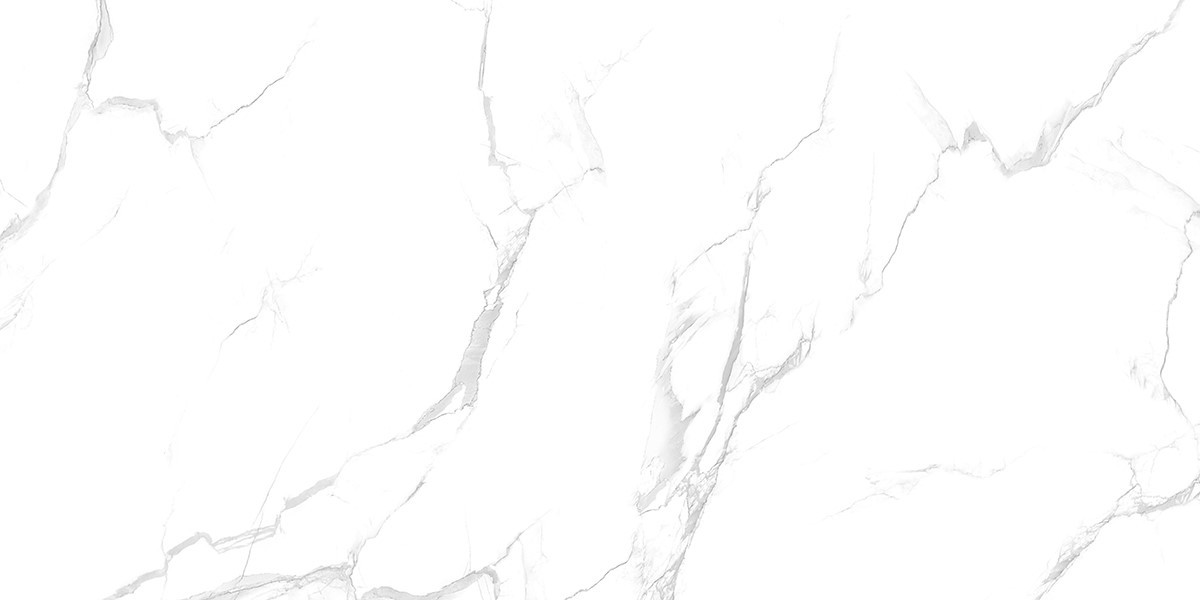 CYBELE 60X120 CALACATTA GREY FULL LAPPATO END.