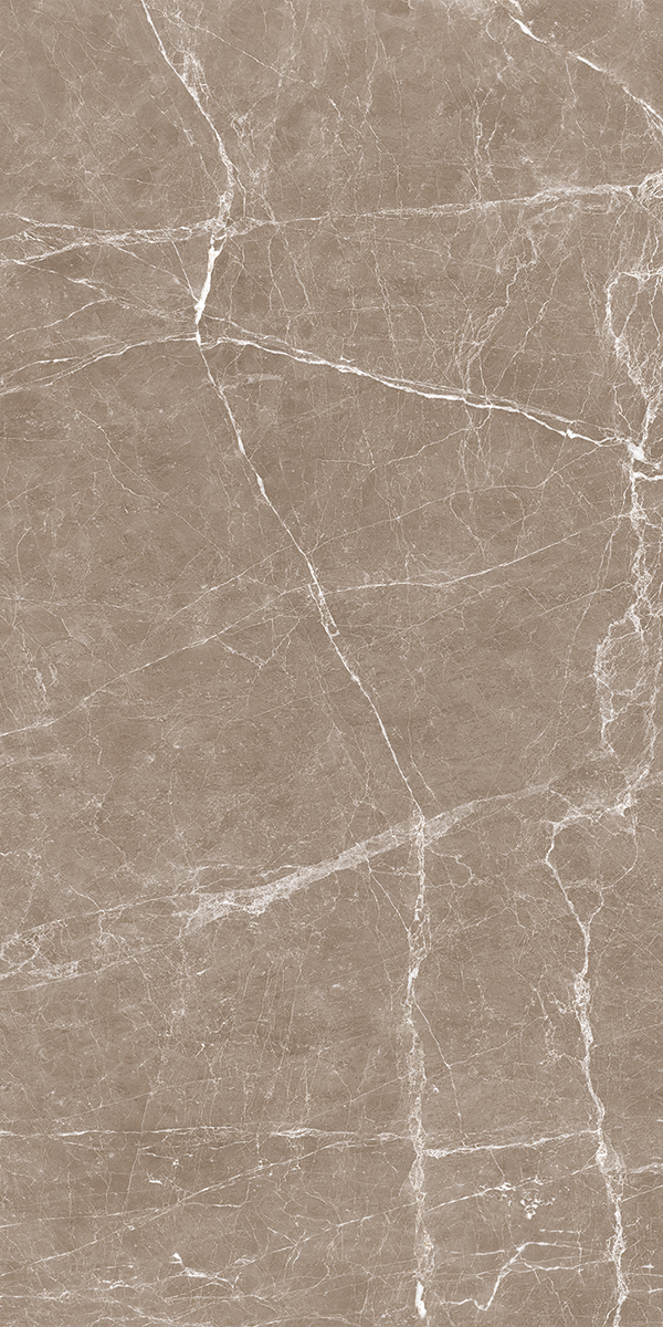 60X120 TERRE TAUPE FULL LAPPATO 