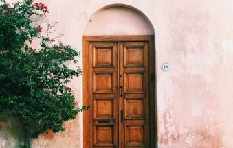 green plants beside brown wooden door